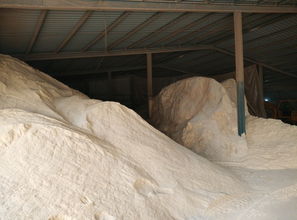 生物质颗粒燃料价格趋势及其加工技术探析