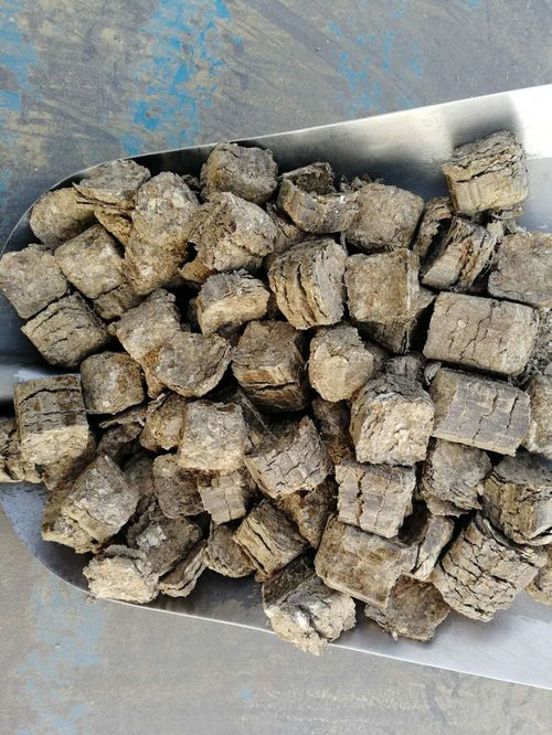 绿色能源新篇章 河南周口环保锅炉生物质燃料的革新之路